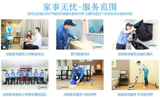 九宫格专注中小企业网络营销，携手家事无忧清洁服务公司共筑互联网转型新篇章